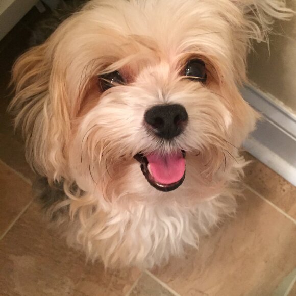 Meet your Posher, Joan - Picture 13 of 15